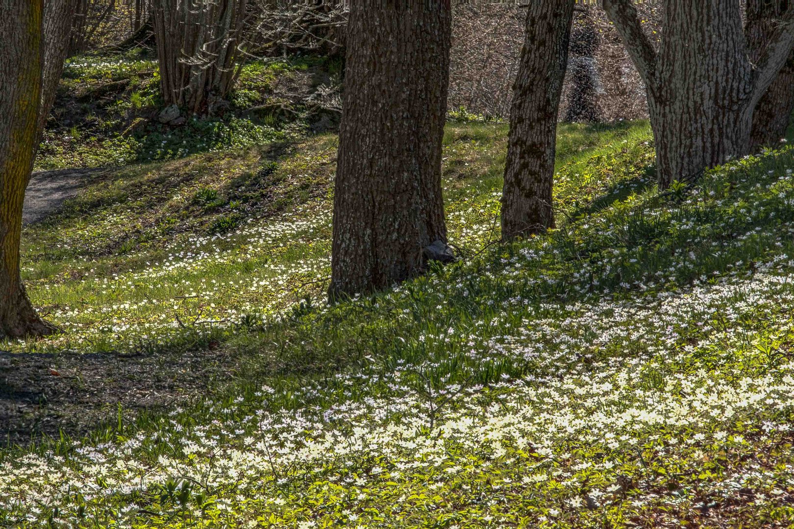 Rosersberg Schlosspark