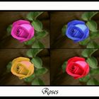 ~~~Roses~~~