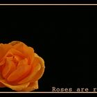 Roses are red...