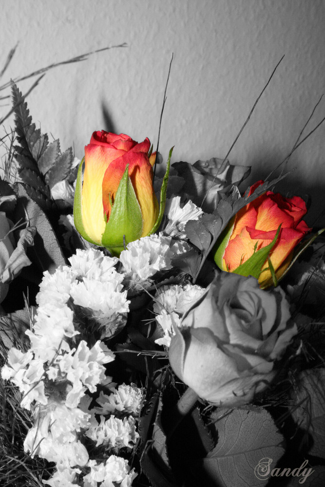 Roses are red "and yellow" :)