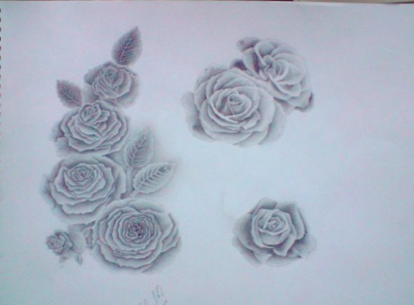 Roses