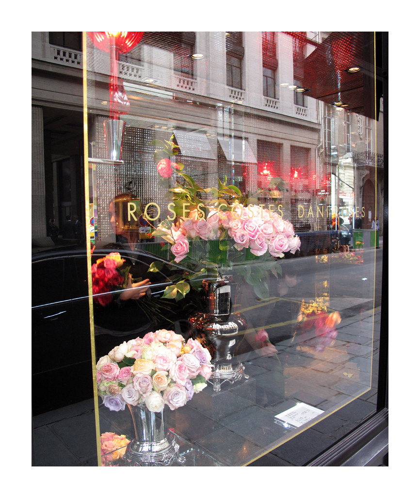 ... Roses Costes Paris ...