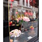 ... Roses Costes Paris ...