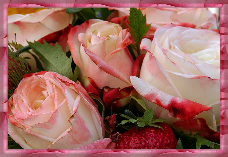 roses et fraises
