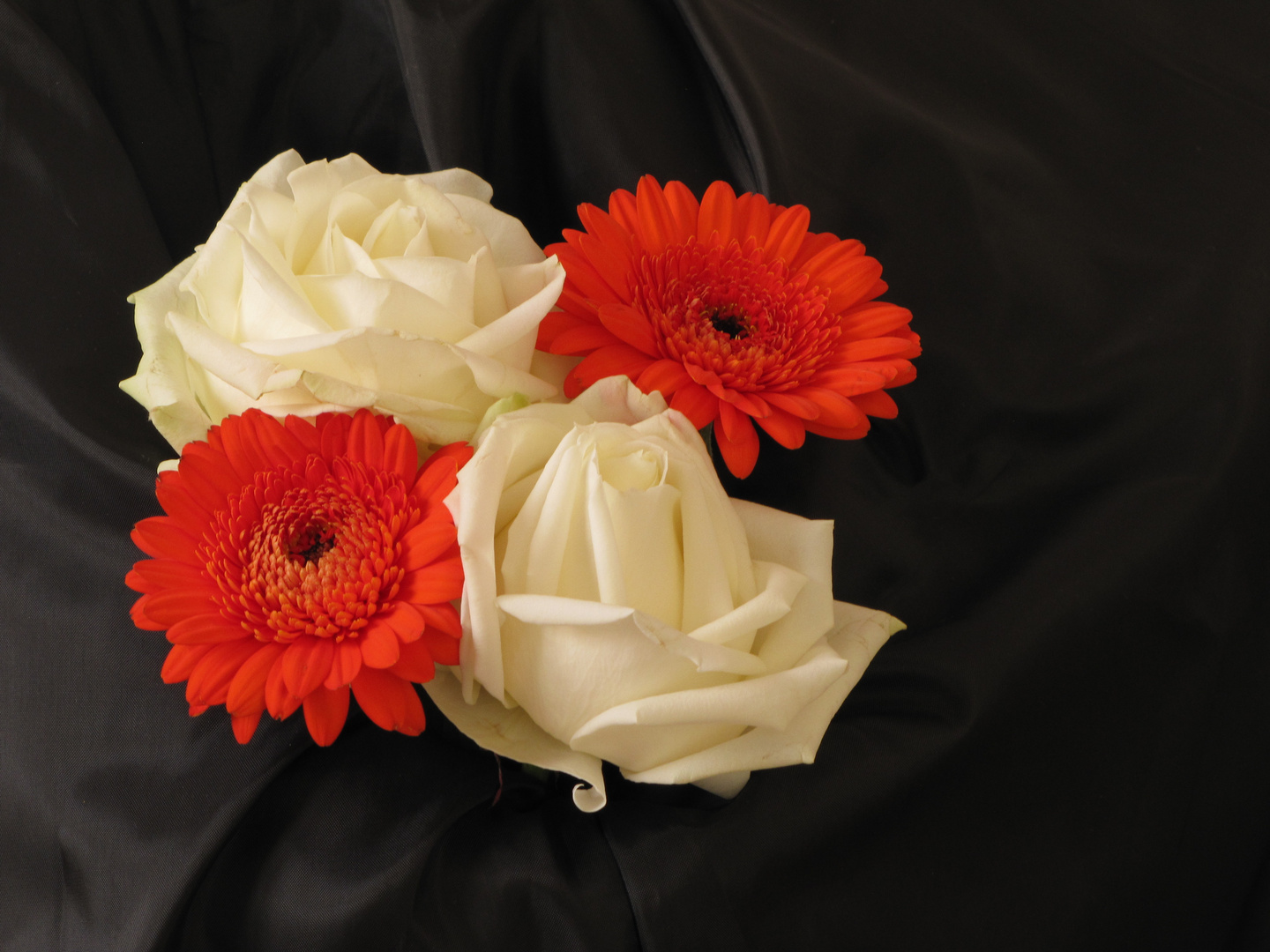 Roses et gerberas