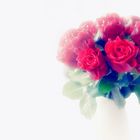 Roses for love!