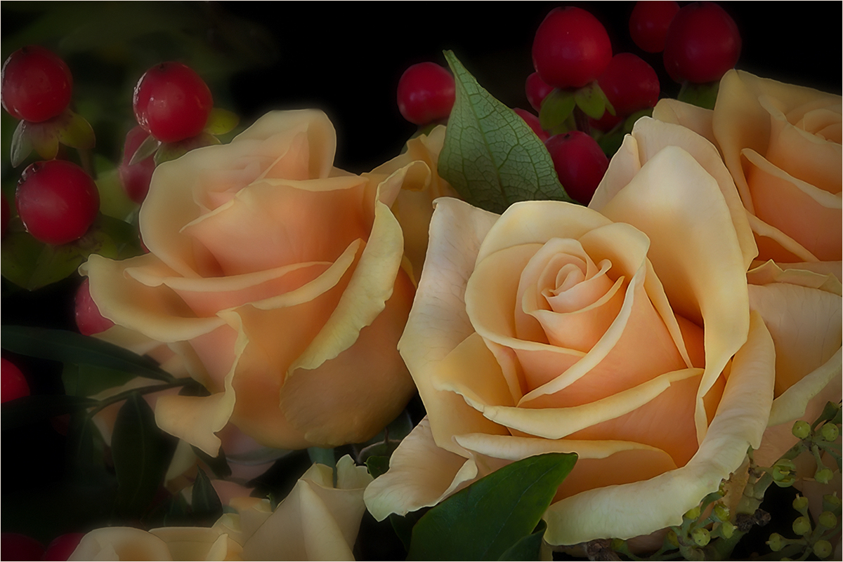 Roses for Renate....