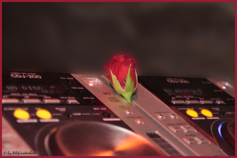 Roses for the DJ