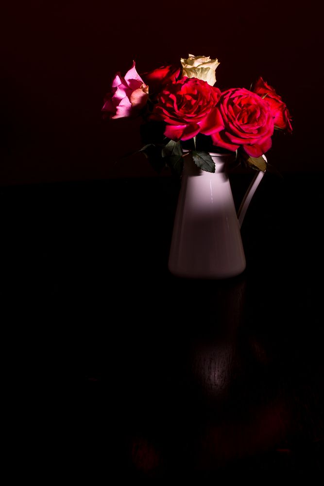 Roses in the Dark...