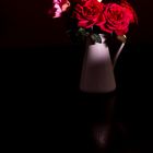 Roses in the Dark...