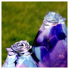 Roses of glass