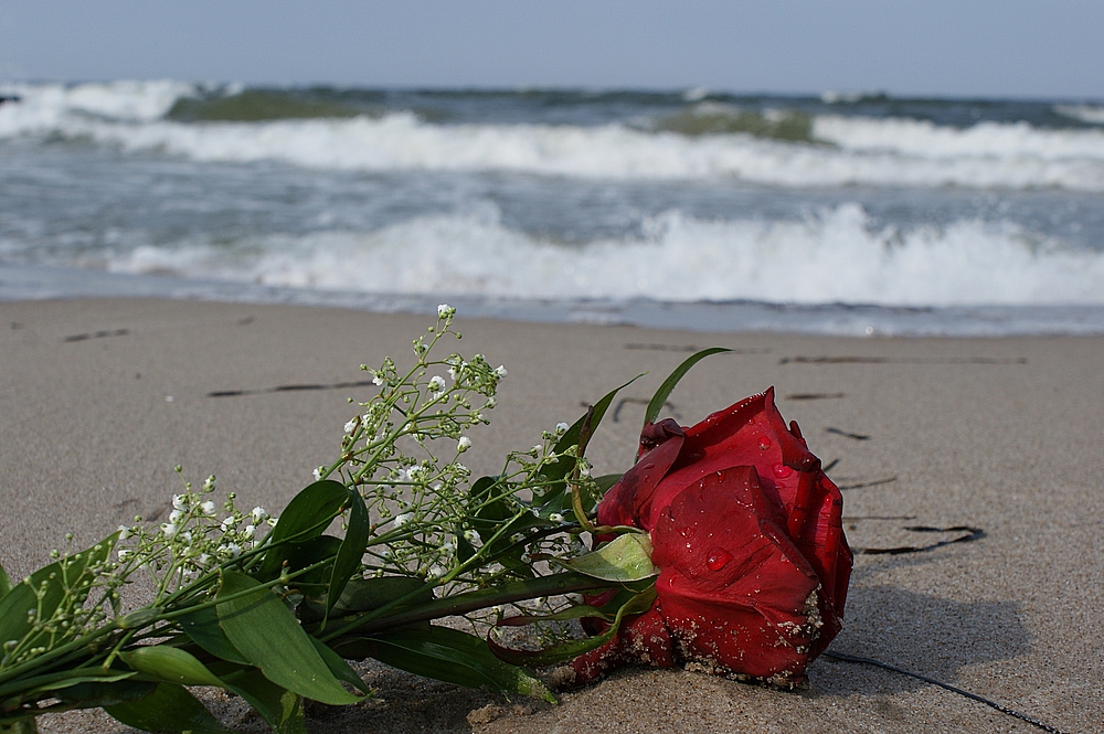 " Roses on the Beach2 "