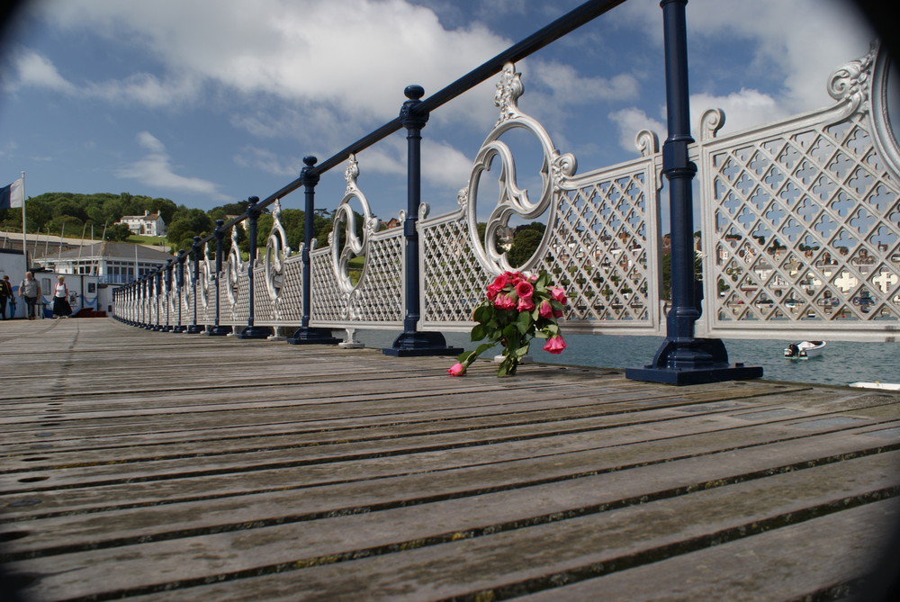 roses on the pier