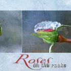 Roses on the rocks