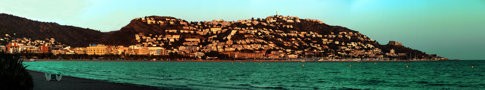 Roses / Rosas Strand Panorama