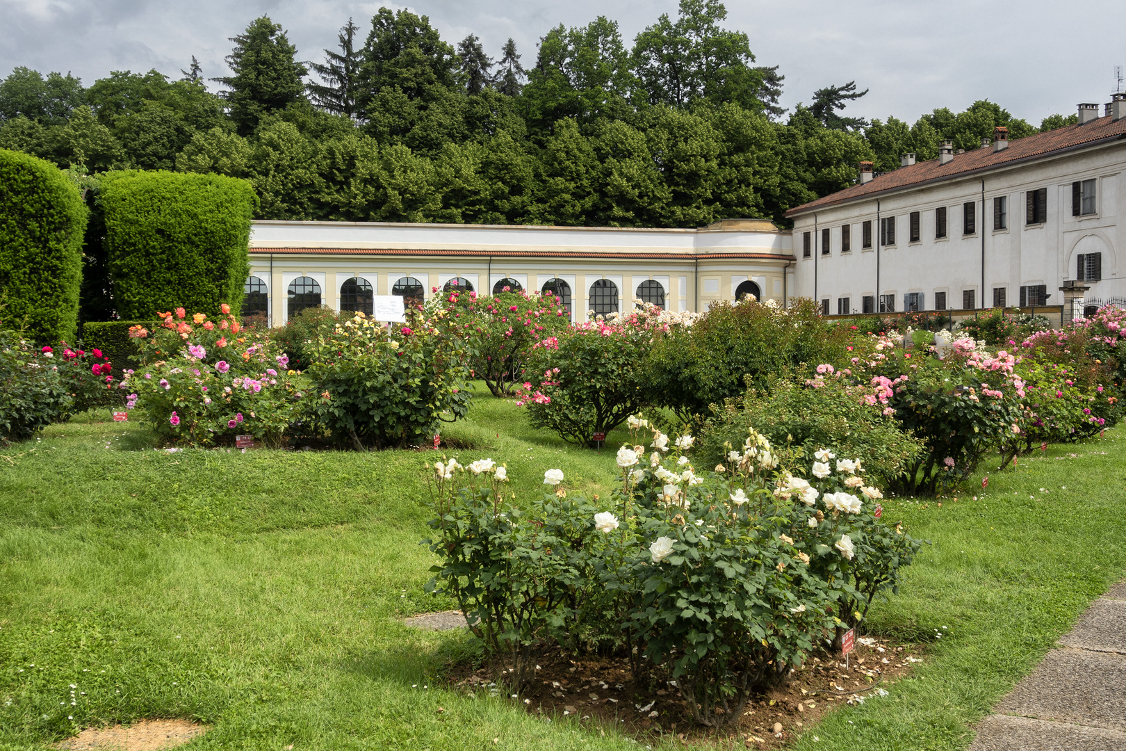 Roseto, Villa Reale di Monza