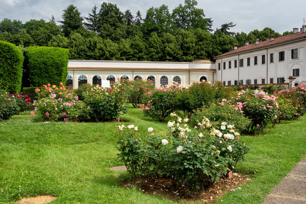 Roseto, Villa Reale di Monza