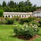 Roseto, Villa Reale di Monza