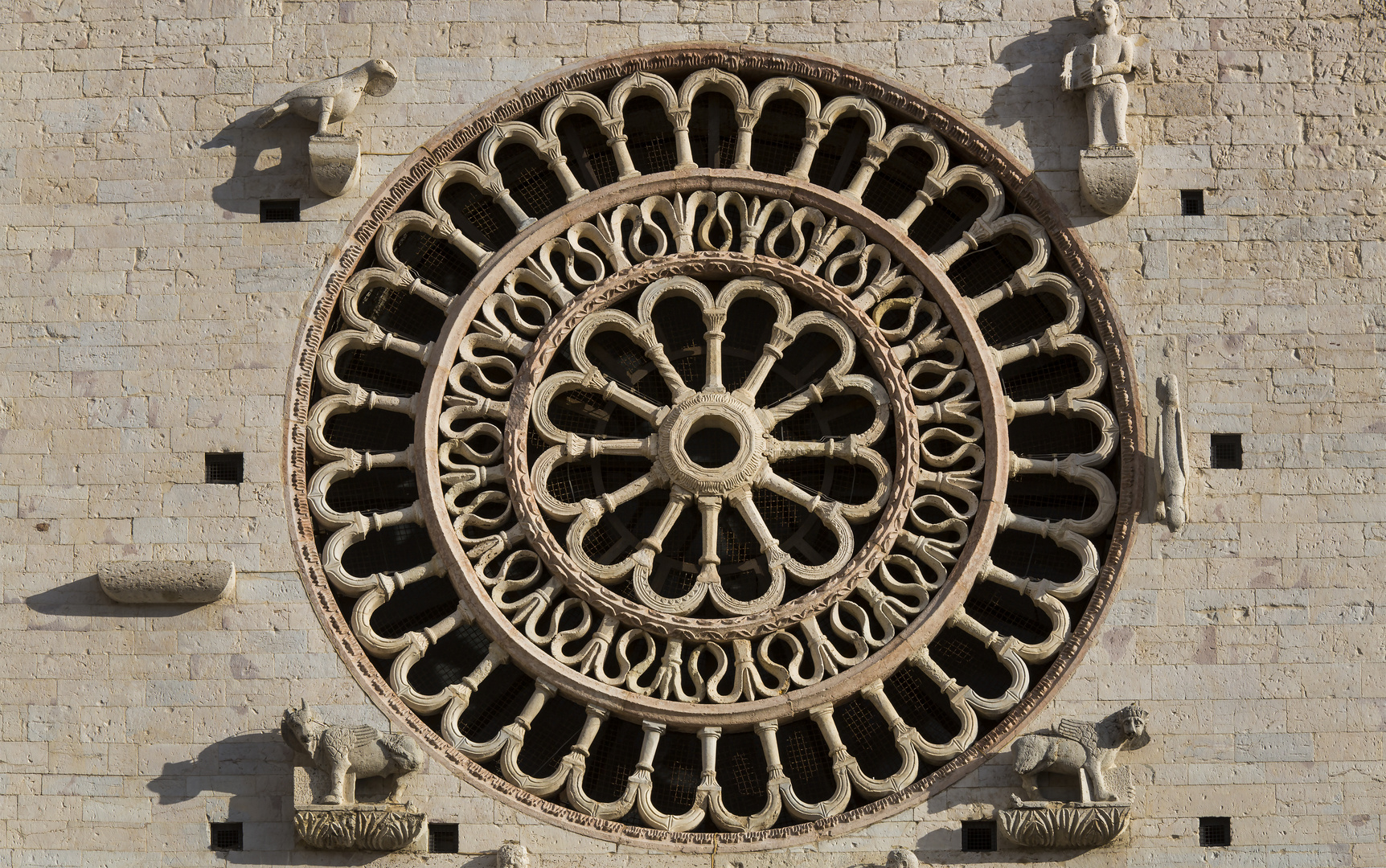 Rosette der Kathedrale San Rufino von Assisi
