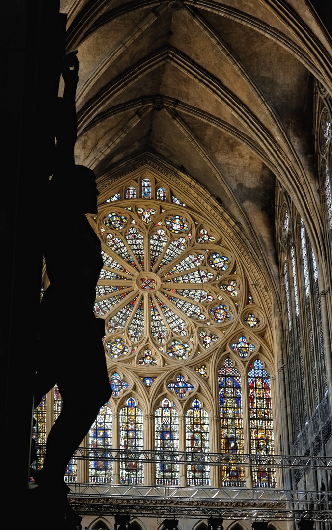 Rosette  in der 'Cathédrale St. Etienne'