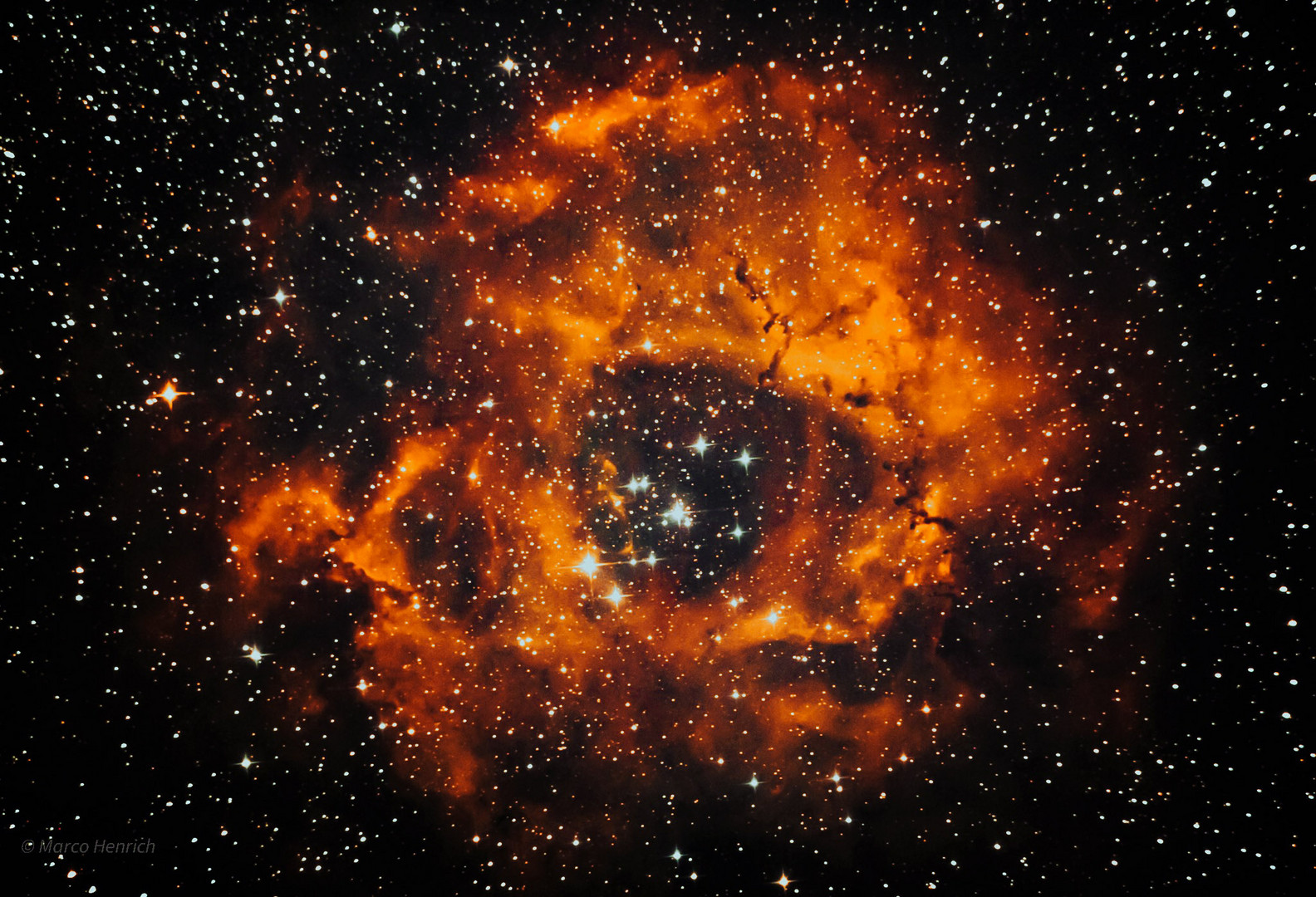 rosette nebula