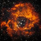 rosette nebula