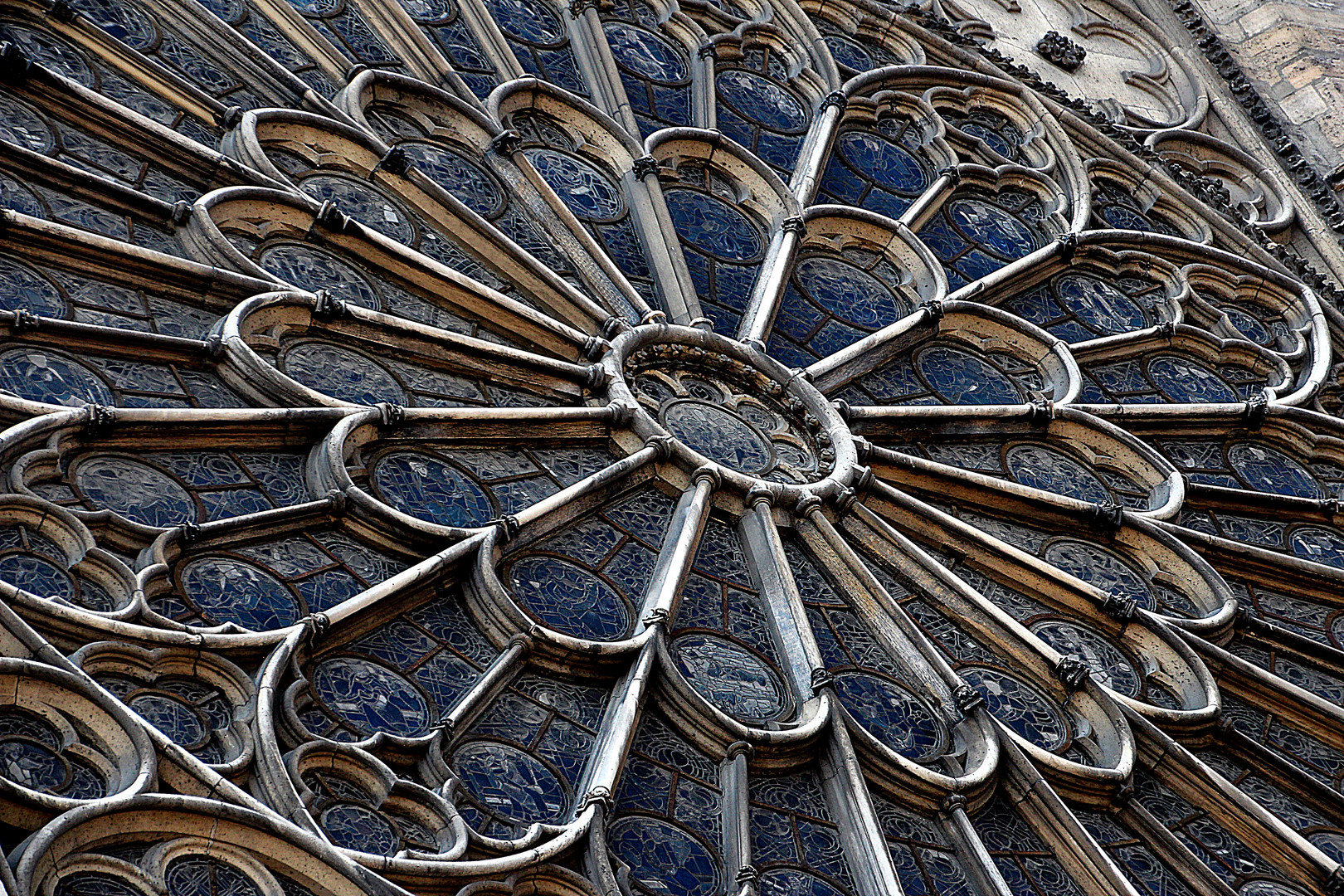 Rosette Notre Dame