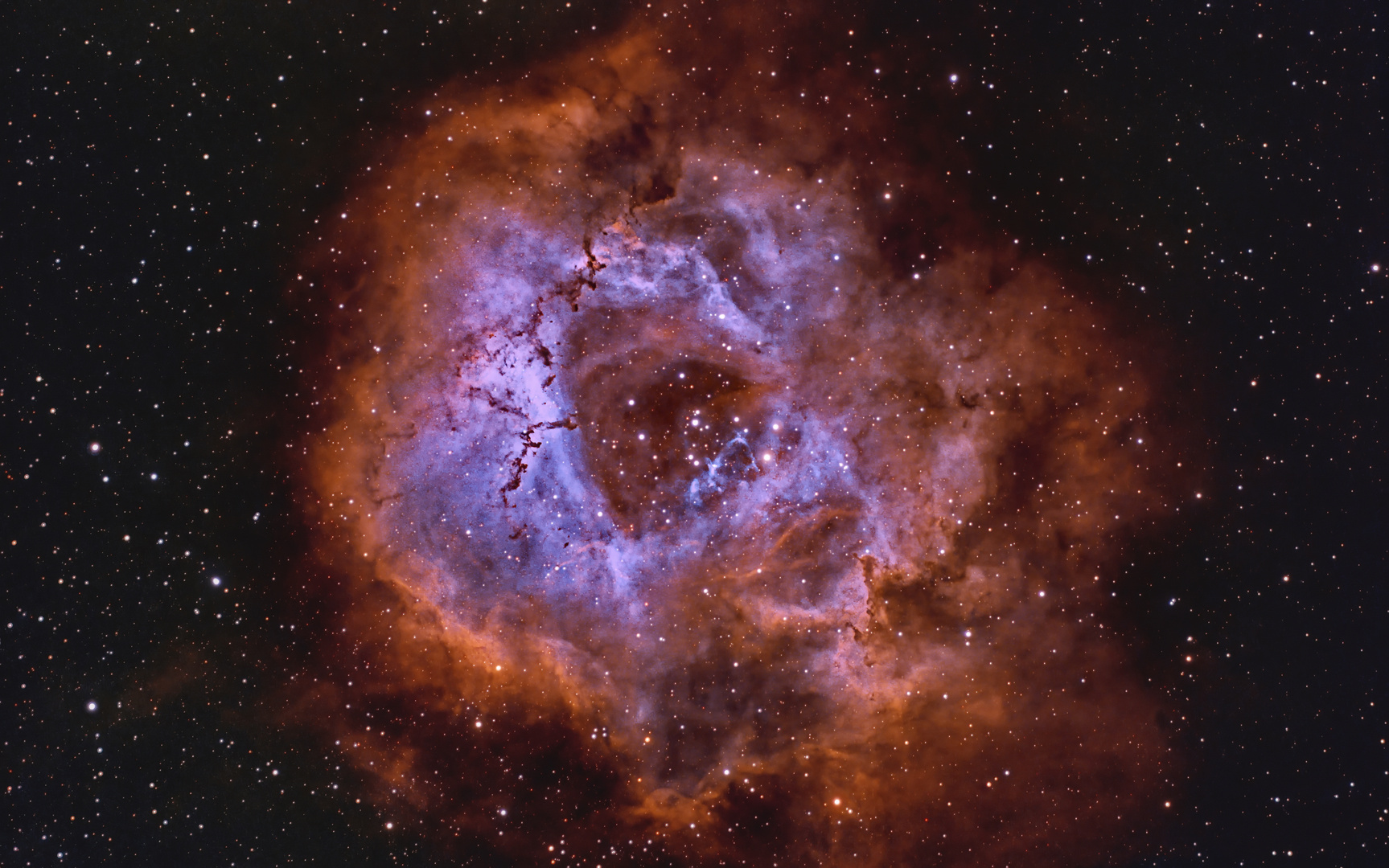 Rosettenebel und NGC 2244