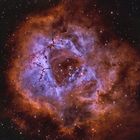 Rosettenebel und NGC 2244