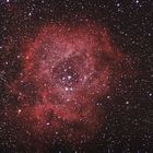 Rosettennebel - NGC 2237