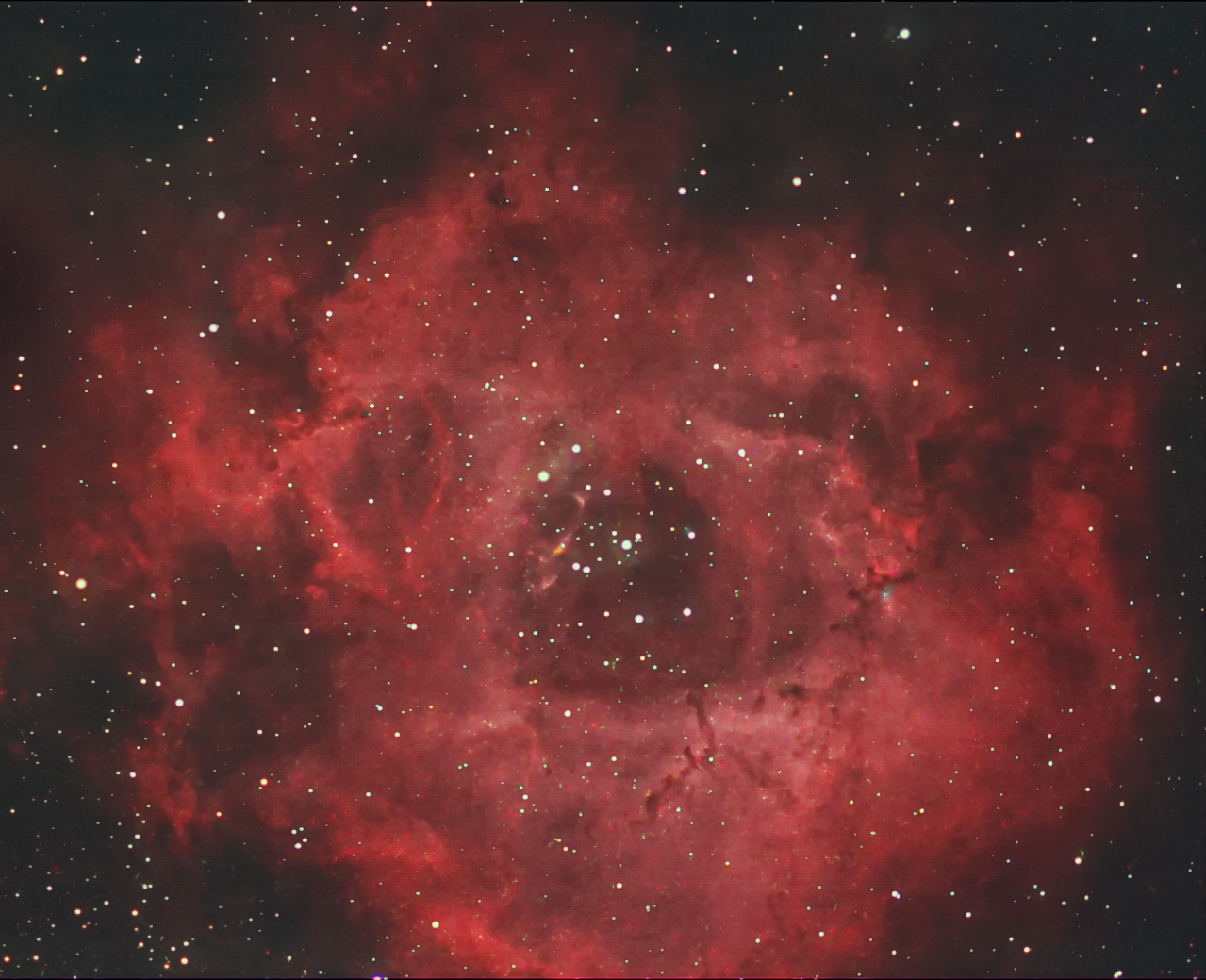 Rosettennebel NGC 2244