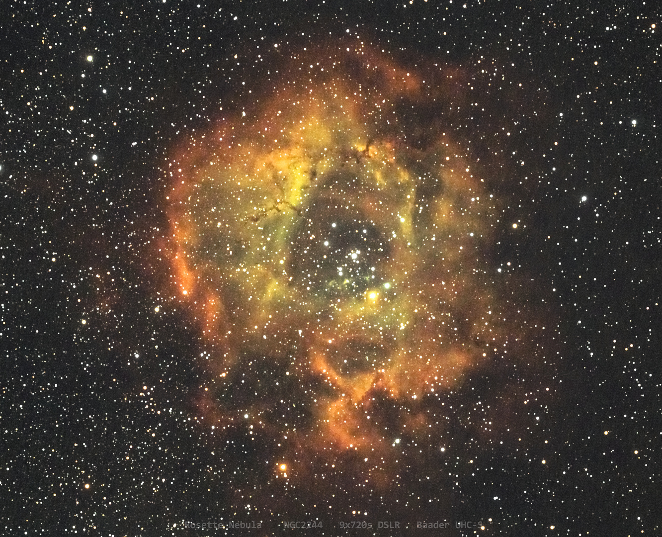 Rosettennebel NGC2244