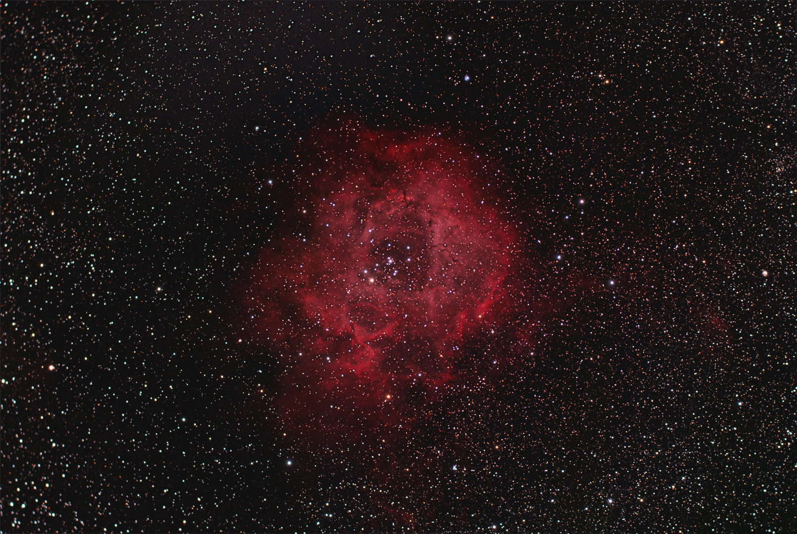 Rosettennebel ( Rose) NGC 2237 im Sternbild Einhorn