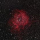 Rosettennebel ( Rose) NGC 2237 im Sternbild Einhorn