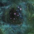 Rosettennebel-Zentrum mit Sternhaufen NGC2244