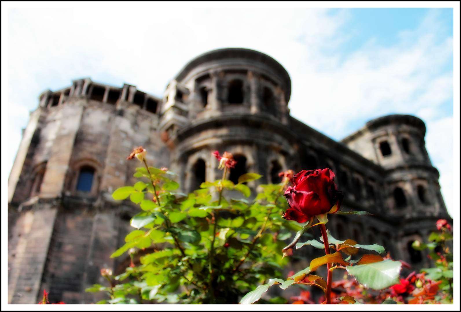 Rosige Aussichten (Porta Nigra)