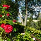 Rosiger Blick auf den Weserbogen bei Stahle