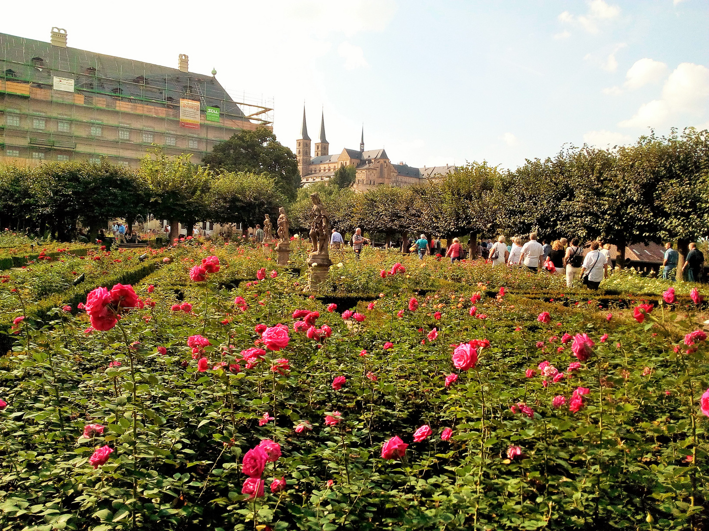 Rosiges Bamberg