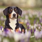 Rosis Beitrag zum Weltfrauentag ;) !