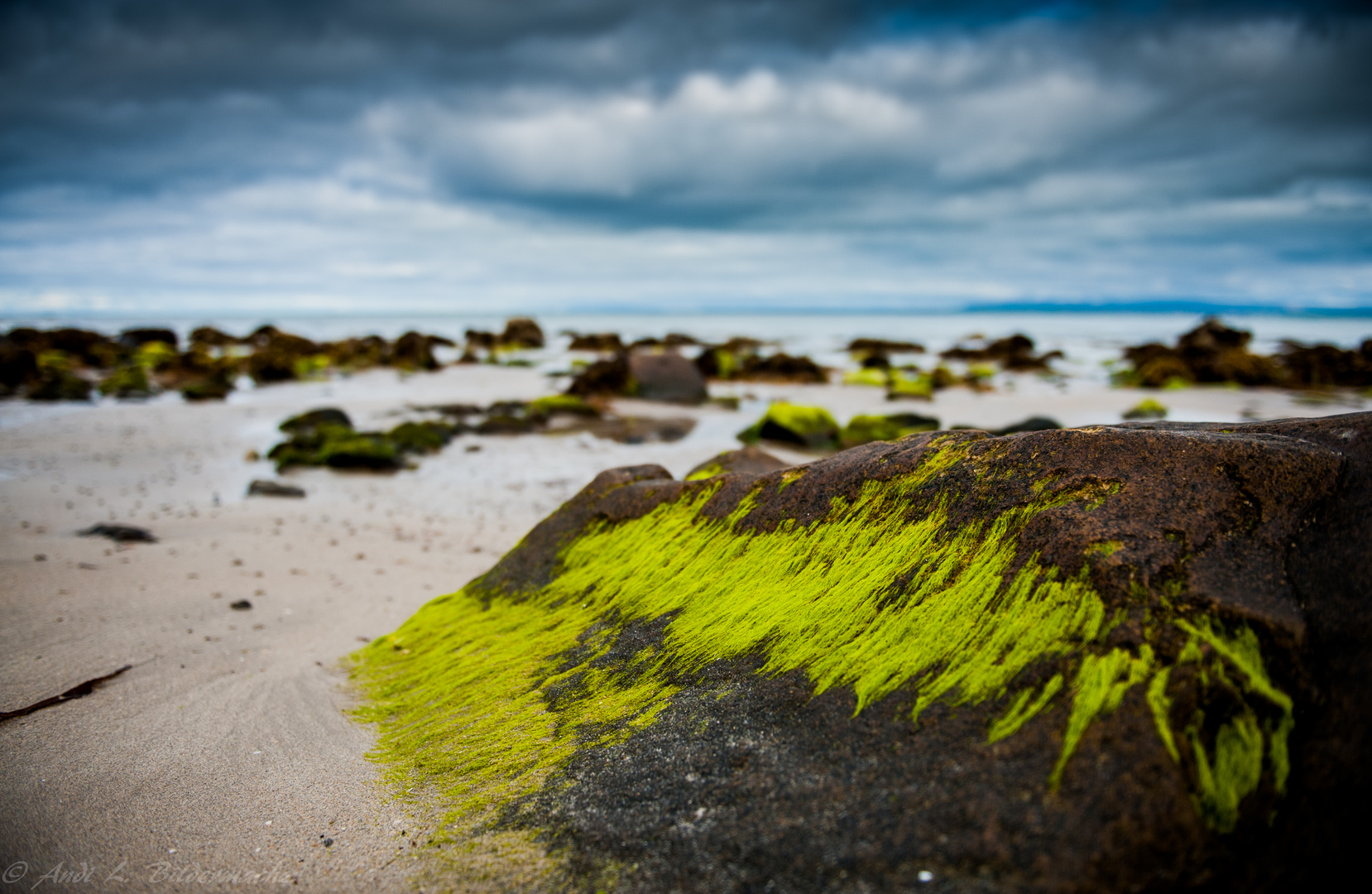 Ross Beach