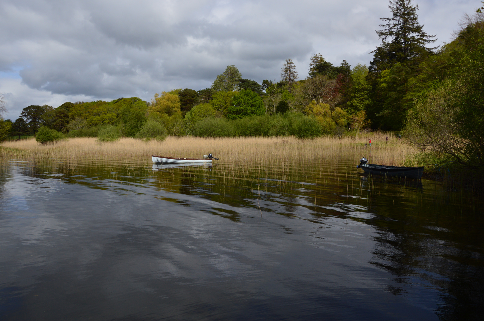 Ross Castle