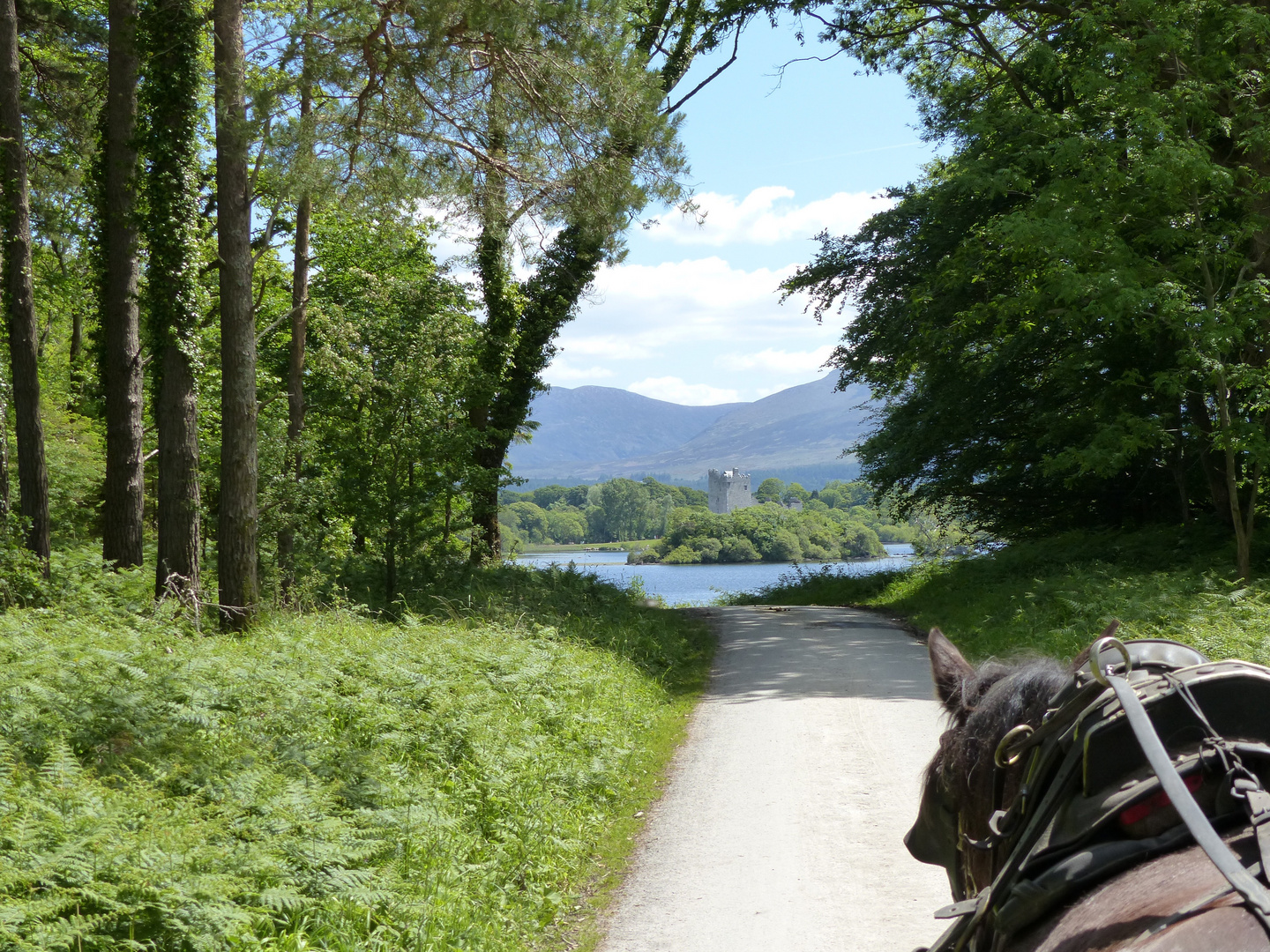 Ross Castle