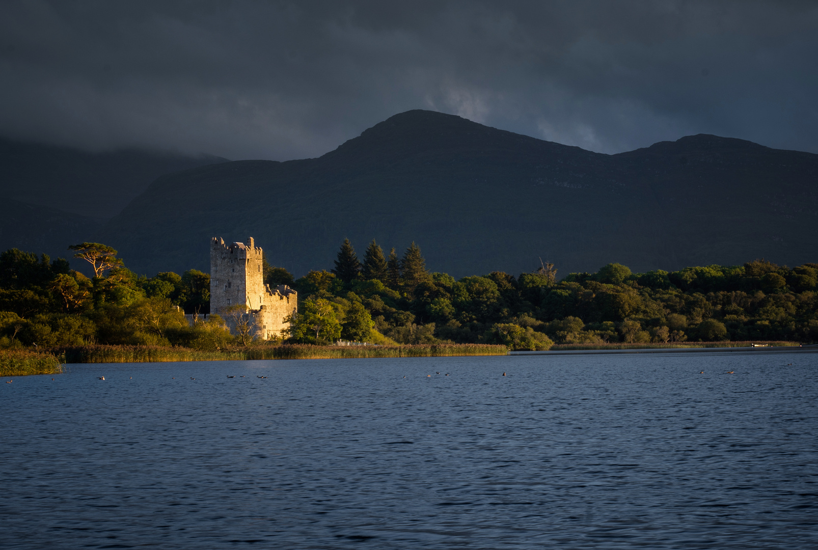 Ross Castle im Sonnenuntergang