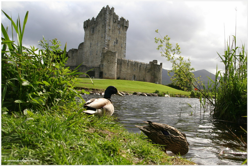 Ross Castle in Killarney (Irland)