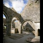 Ross Errilly Friary Innenansicht II