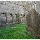 Ross Errilly Ruine , Innenhof 