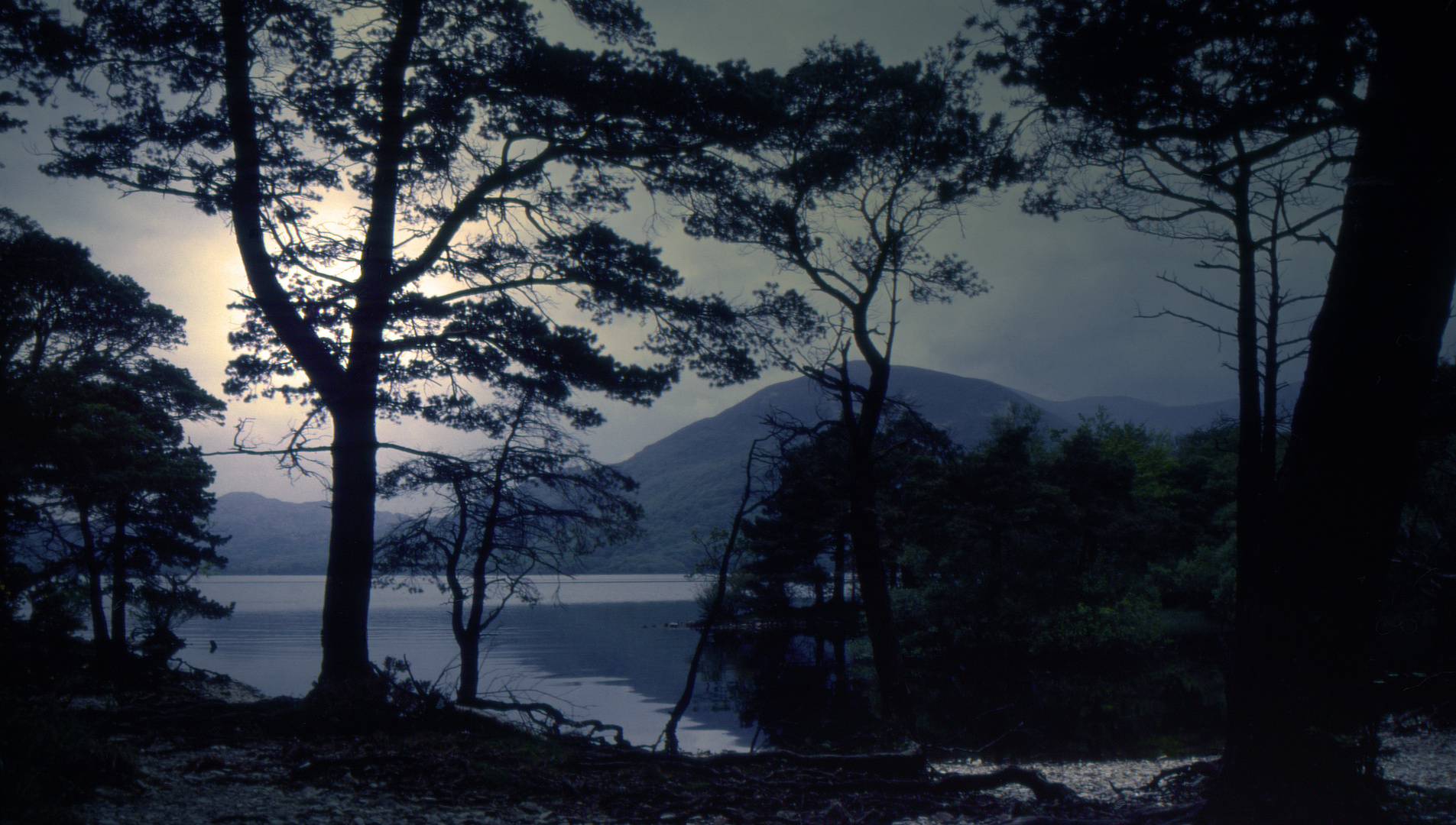 Ross Island - Lough Leane