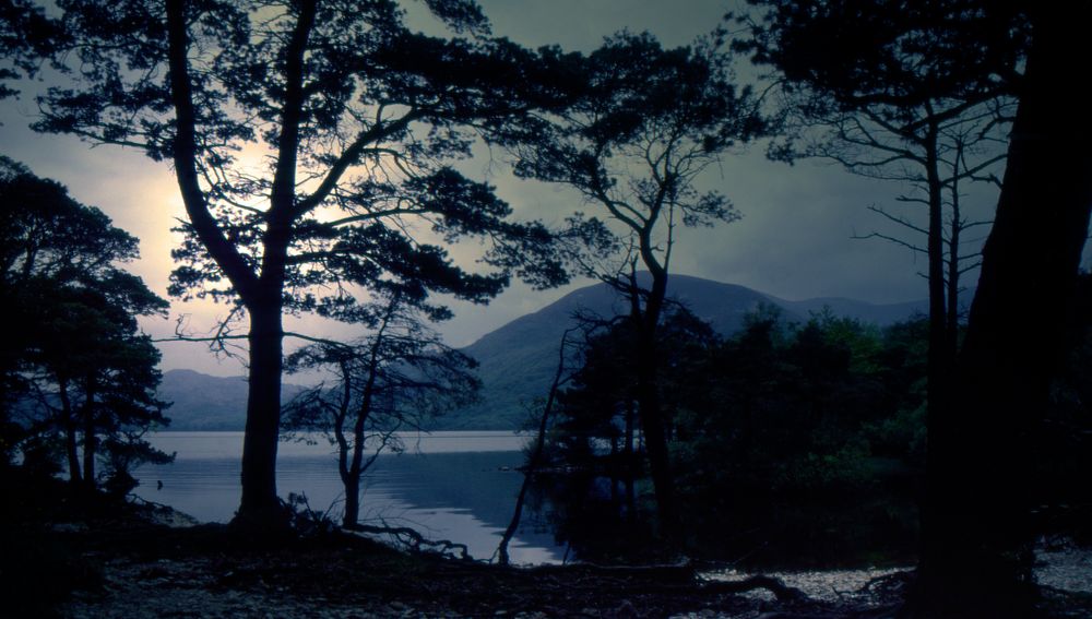 Ross Island - Lough Leane