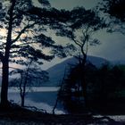 Ross Island - Lough Leane