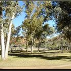 Ross River Campground, Panorama